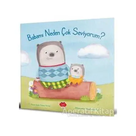 Babamı Neden Çok Seviyorum - Daniel Howarth - Mikado Yayınları