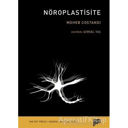 Nöroplastisite - Moheb Costandi - Pan Yayıncılık
