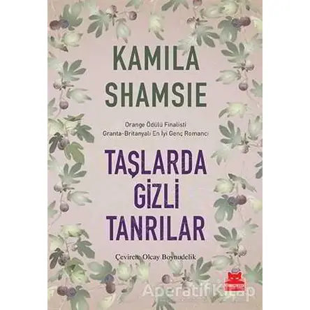 Taşlarda Gizli Tanrılar - Kamila Shamsie - Kırmızı Kedi Yayınevi
