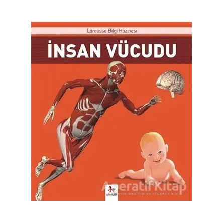 İnsan Vücudu - Ezgi İnanç - Almidilli