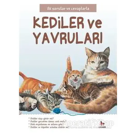 Kediler ve Yavruları - İlk Sorular ve Cevaplarla - Camilla de la Bedoyere - Almidilli
