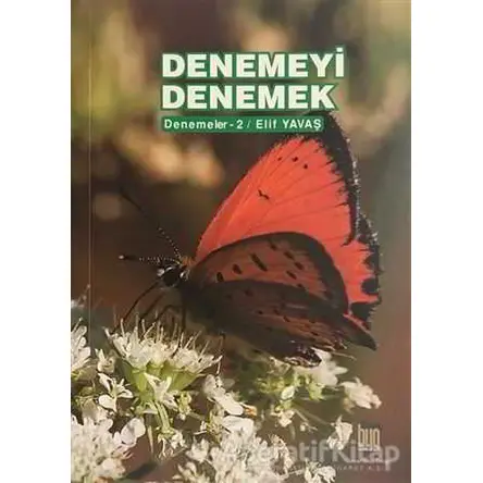Denemeyi Denemek - Elif Yavaş - Baygenç Yayıncılık