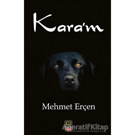 Karam - Mehmet Erçen - Babıali Kitaplığı