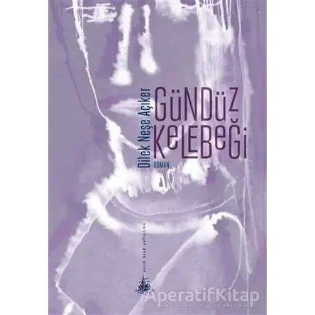 Gündüz Kelebeği - Dilek Neşe Açıker - Yitik Ülke Yayınları