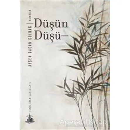 Düşün Düşü - Ayşen Gacan Gülbağ - Yitik Ülke Yayınları