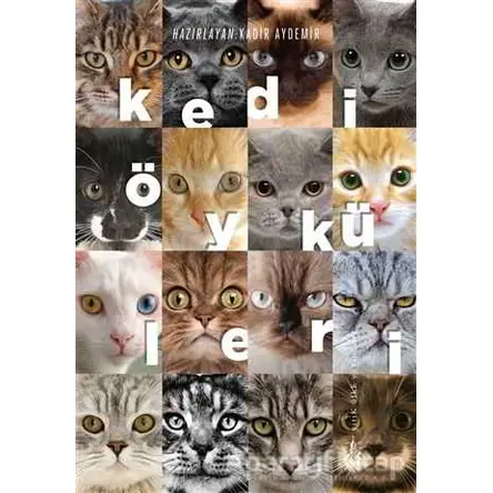 Kedi Öyküleri - Kadir Aydemir - Yitik Ülke Yayınları