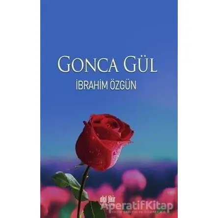 Gonca Gül - İbrahim Özgün - Akıl Fikir Yayınları