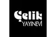 Çelik Yayınevi