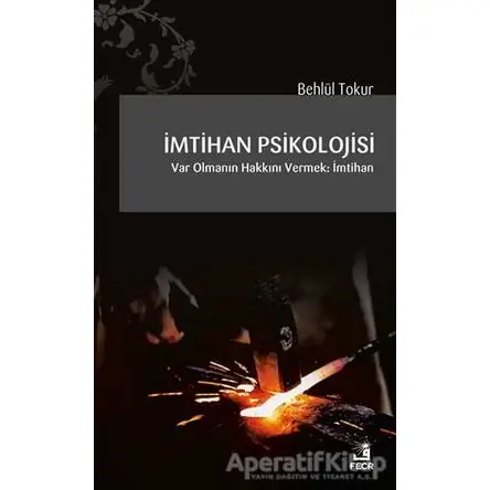 İmtihan Psikolojisi - Behlül Tokur - Fecr Yayınları