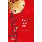 Sonsuz Eksi Bir - Hatice İbiş - Hece Yayınları