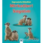 Hayvanlarla Etkinlikler - Mirketleri Sayalım - Tracey Steffora - Mavi Kelebek Yayınları