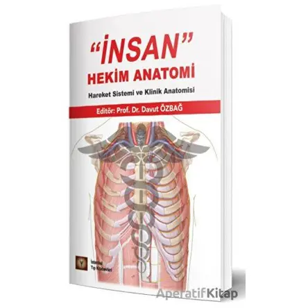 İnsan Hekim Anatomi - Hareket Sistemi ve Klinik Anatomisi - Davut Özbağ - İstanbul Tıp Kitabevi