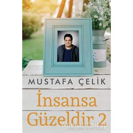 İnsansa Güzeldir 2 - Mustafa Çelik - Cinius Yayınları