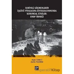 Suriyeli Göçmenlerin İşgücü Piyasasına Entegrasyonunda Kurumsal Etkiler: UNDP Örneği