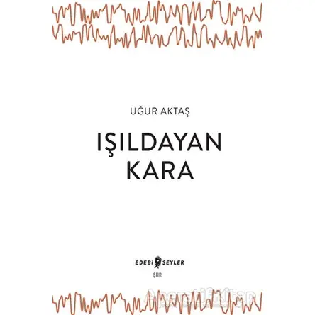 Işıldayan Kara - Uğur Aktaş - Edebi Şeyler