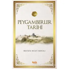 Peygamberler Tarihi - Mustafa Necati Bursalı - Çelik Yayınevi