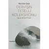 Dervişin Teselli Koleksiyonu - Mecit Ömür Öztürk - Hayykitap