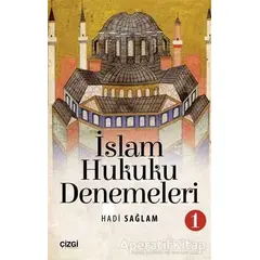 İslam Hukuku Denemeleri 1 - Hadi Sağlam - Çizgi Kitabevi Yayınları