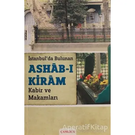 İstanbulda Bulunan Ashab-ı Kiram Kabir ve Makamları - Cafer E. Babadağlı - Çamlıca Basım Yayın