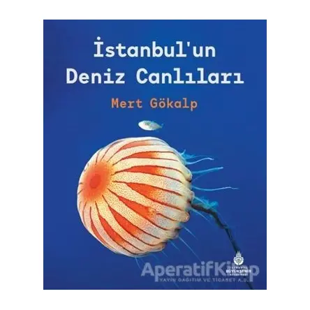 İstanbulun Deniz Canlıları - Mert Gökalp - İBB Yayınları