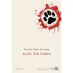 Acile Tek Giden - Zeynep Tuğçe Karadağ - İthaki Yayınları