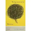 Wittgensteinin Metresi - David Markson - Jaguar Kitap