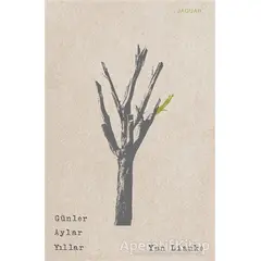 Günler Aylar Yıllar - Yan Lianke - Jaguar Kitap
