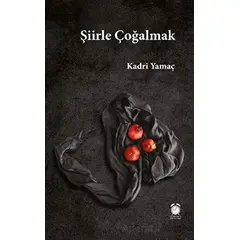 Şiirle Çoğalmak - Kadri Yamaç - KitapSaati Yayınları