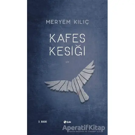 Kafes Kesiği - Meryem Kılıç - Şule Yayınları