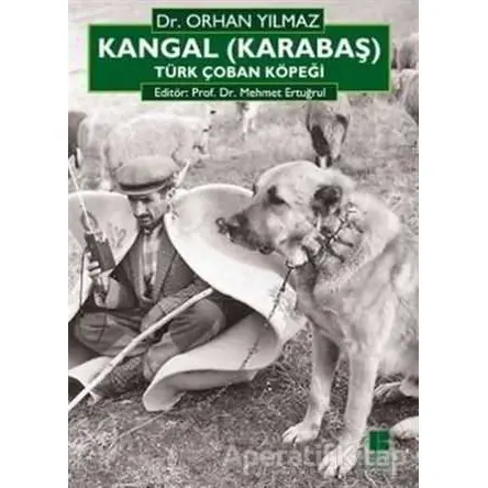 Kangal (Karabaş) Türk Çoban Köpeği - Orhan Yılmaz - Bilge Kültür Sanat