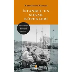 İstanbulun Sokak Köğpekleri - Kemalettin Kuzucu - Kapı Yayınları