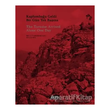 Kaplumbağa Geldi Bir Gün Tek Başına - Judith Desmyttere - Yapı Kredi Yayınları