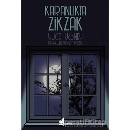 Karanlıkta Zikzak - Yüce Yöney - Çınar Yayınları