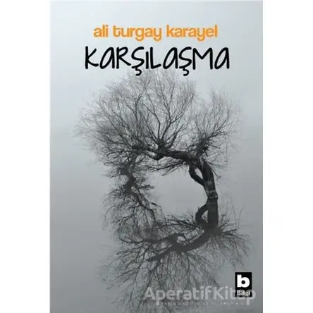 Karşılaşma - Ali Turgay Karayel - Bilgi Yayınevi