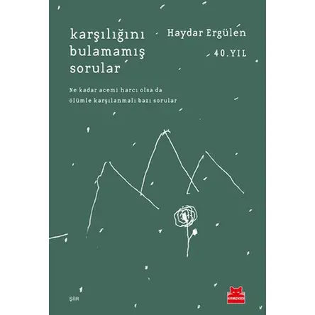 Karşılığını Bulamamış Sorular - Haydar Ergülen - Kırmızı Kedi Yayınevi