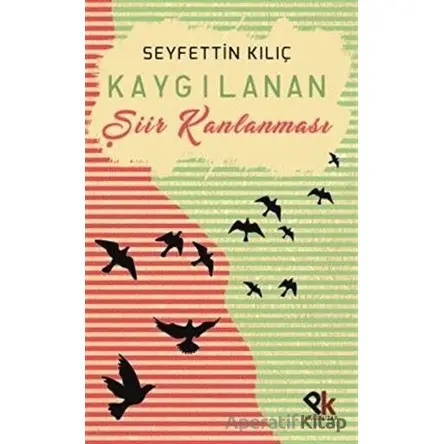 Kaygılanan Şiir Kanlanması - Seyfettin Kılıç - Panu Kitap