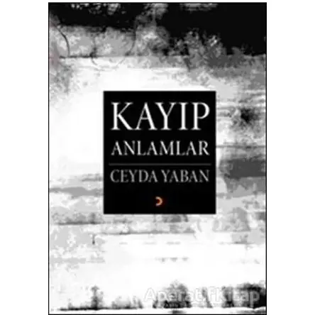 Kayıp Anlamlar - Ceyda Yaban - Cinius Yayınları