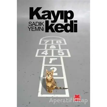 Kayıp Kedi - Sadık Yemni - Kırmızı Kedi Yayınevi