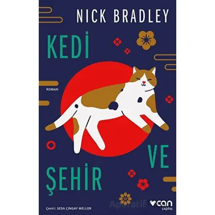 Kedi ve Şehir - Nick Bradley - Can Yayınları