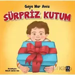 Sürpriz Kutum - Gaye Nur Avcu - DS Yayınları