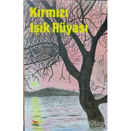 Kırmızı Işık Rüyası - Kolektif - Ceylan Yayınları