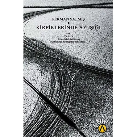 Kirpiklerinde Ay Işığı - Ferman Salmış - Ares Yayınları