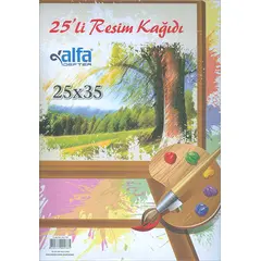 25li Resim Kağıdı 25x35 Alfa Defter