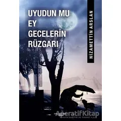 Uyudun Mu Ey Gecelerin Rüzgarı - Nizamettin Arslan - Sokak Kitapları Yayınları