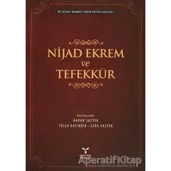 Nijad Ekrem ve Tefekkür - Recaizade Mahmut Ekrem - Umuttepe Yayınları