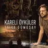 Kareli Öyküler - Tolga Gümüşay - Altın Kitaplar