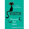 Gizemli Bir Ajan - Winston - Frauke Scheunemann - Epsilon Yayınevi