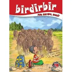 Birdirbir - Dua: Nerede, Nasıl? - Kolektif - EDAM