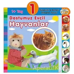 1+ Yaş Dostumuz Evcil Hayvanlar - Kolektif - 0-6 Yaş Yayınları