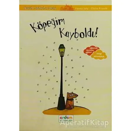 Köpeğim Kayboldu - Küçük Endişeler Dizisi - Fanny Joly - Erdem Çocuk